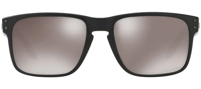 Holdbrook Black Prizm Black Polar
